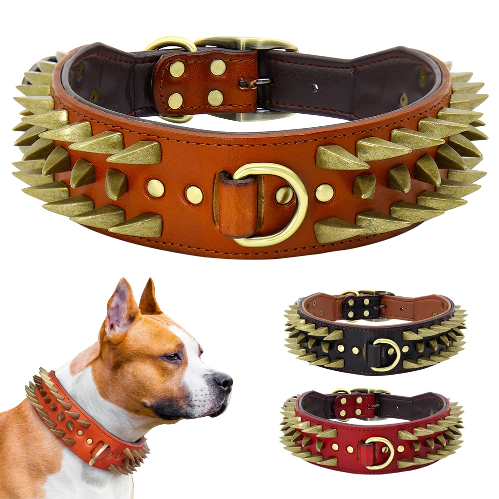 What Is The Best Shock Collar For A Rottweiler