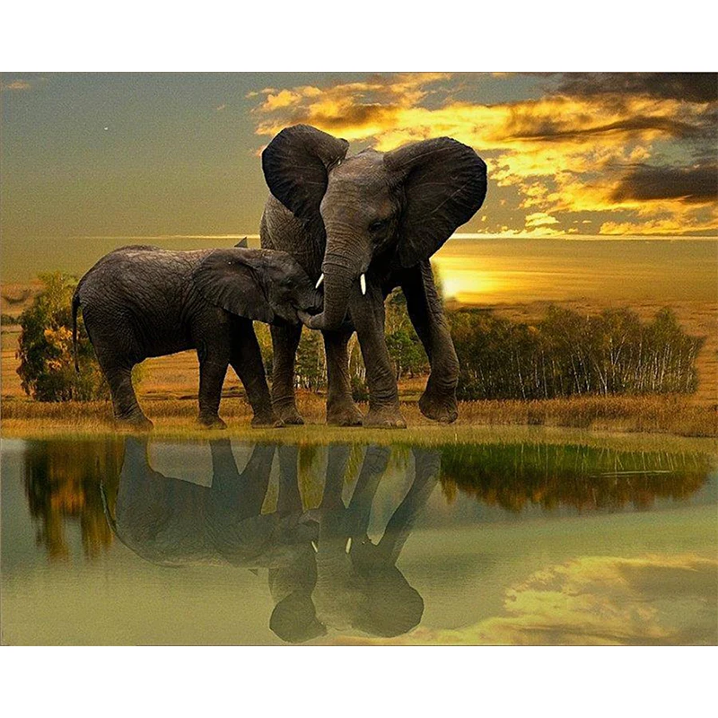 image_561808140041439390019