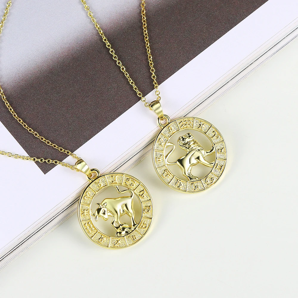 Pendant Coin Necklace Men's Women's 12 