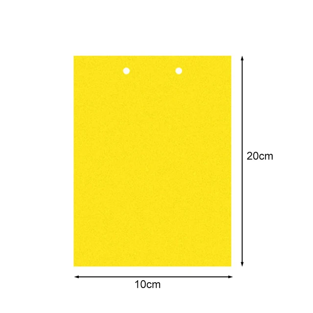 10x20cm