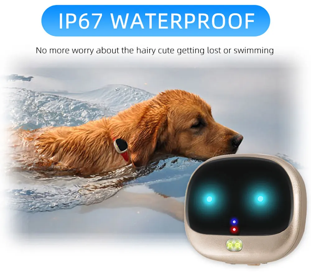 v47-宠物详情页英文版_04