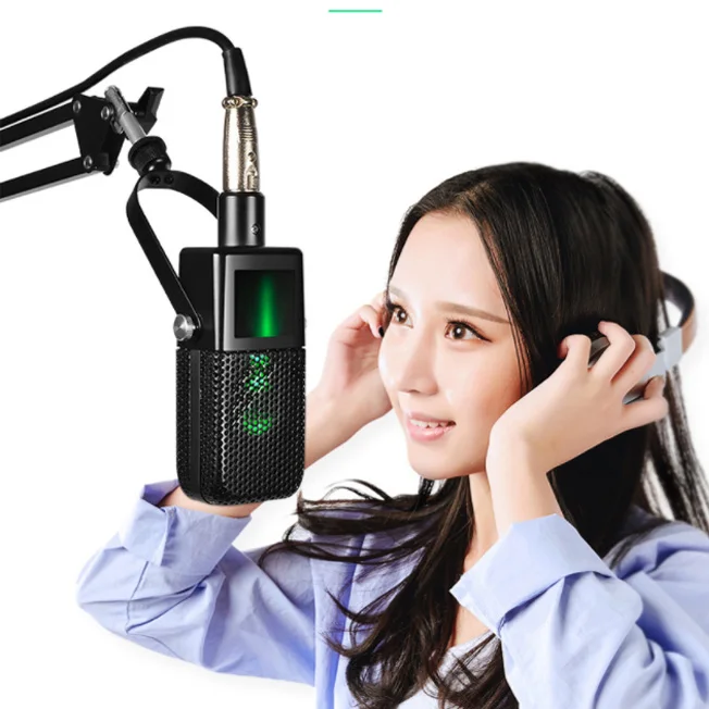 FULL-Condenser Microphone with Hanger+Aluminum Case Professional Studio Microphone for Recording, Computer, Stage, Ktv, Home, L