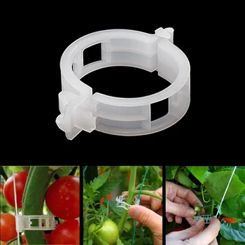 

50/100pcs Plastic Plant Support Clips Clamps Reusable 30mm For Plants Hanging Vine Garden Greenhouse Vegetables Tomatoes Clips