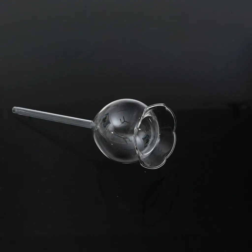 2pcs Self Watering Globe Plant Water Bulb Hand Blown Clear Glass Ball Automatic Waterer Automatic Watering Globes PVC Bulbs Ball