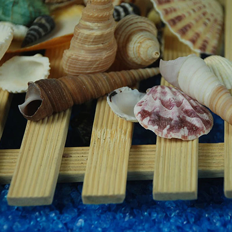 Natural Shell Decoration Cone Conch DIY Crafts Supplies Mediterranean Shellss Conch Starfish Landscape Aquarium Decorative AB