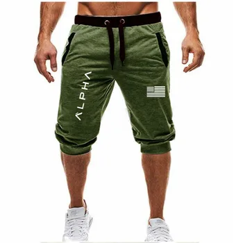 

New Men Gyms Fitness Running Shorts Mens Summer Quick-dry Casual Gym Short Pants Male Jogger Workout Beach Knee Length