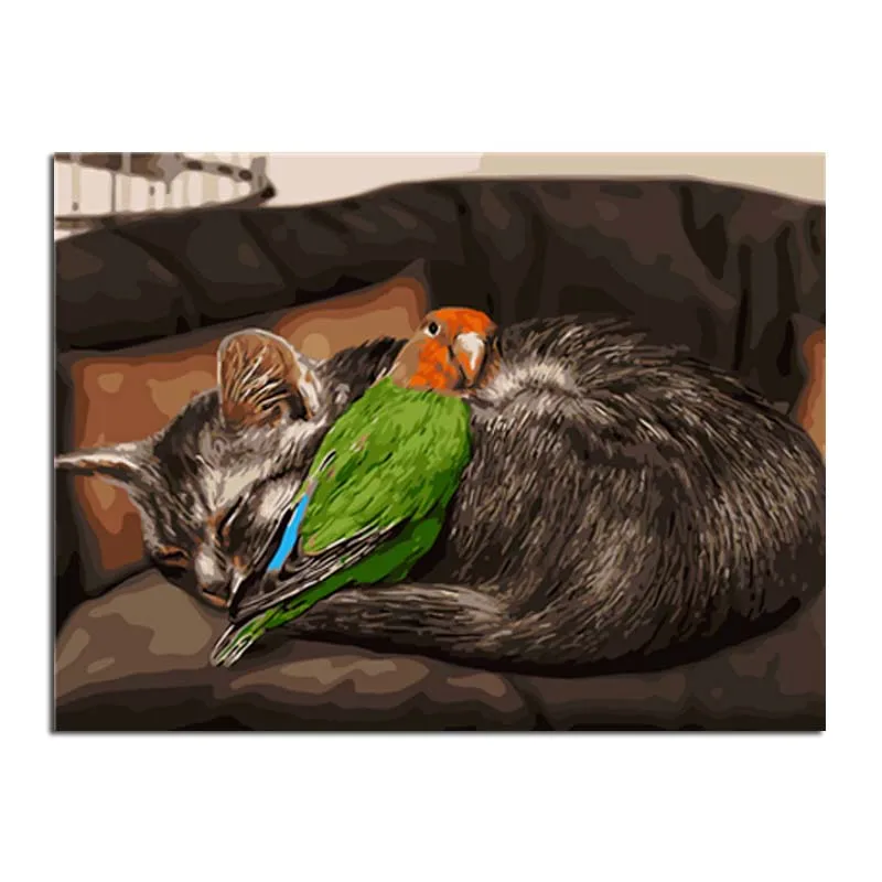 

Cat And Bird Animals DIY Digital Oil Painting By Numbers Modern Wall Art Canvas Handpaint Unique Gift For Art Wall Home Decor