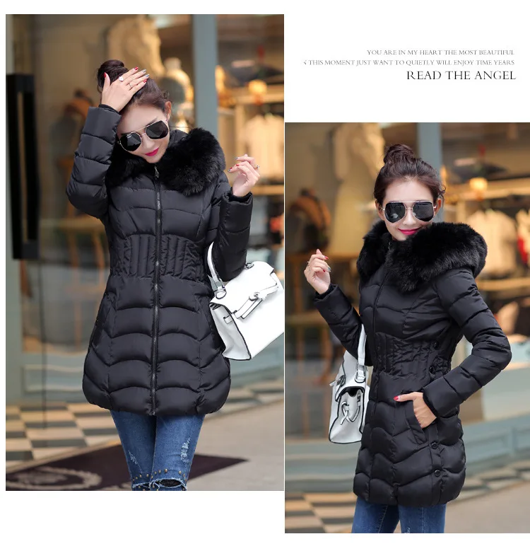 2451370471_1570061270