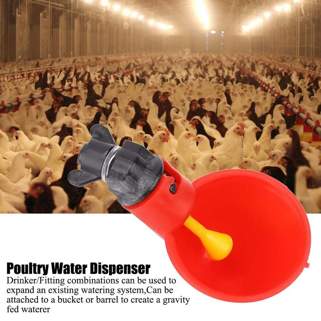 Feed Automatic Bird Coop Poultry Chicken Fowl Drinker Water Drinking Cup For Chicken Feeder Fowl Cook Bowl Tools #30