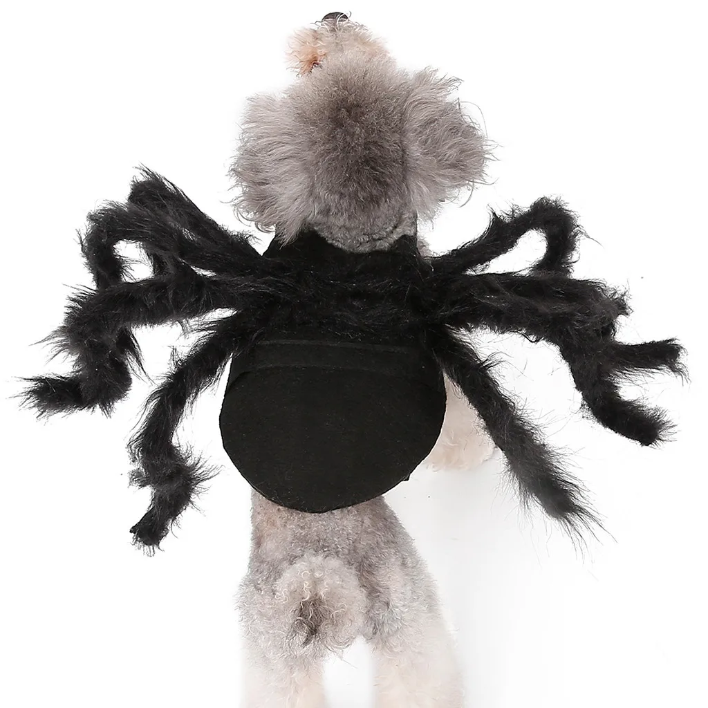 Trsnser Disfraz Perro Паук Одежда с принтом крыльев для щенков черные кошки Хэллоуин домашнее животное кошка собака костюмы милые 19July30 P30