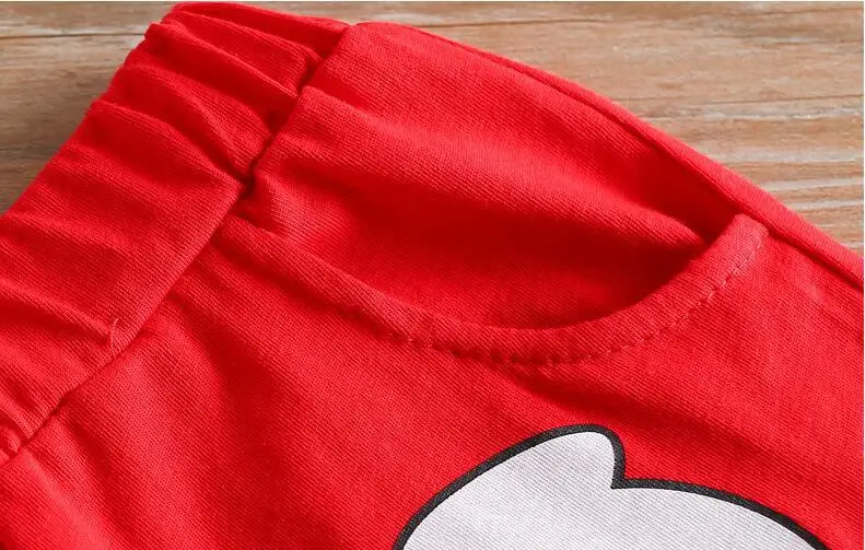 11439036591_1534868565