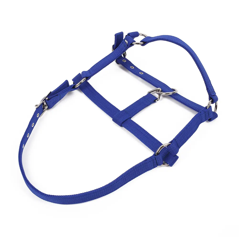 Blue Конский пояс для верховой езды, регулируемый Холтер, головной убор, аксессуар для конного спорта, красный/синий - Цвет: Blue
