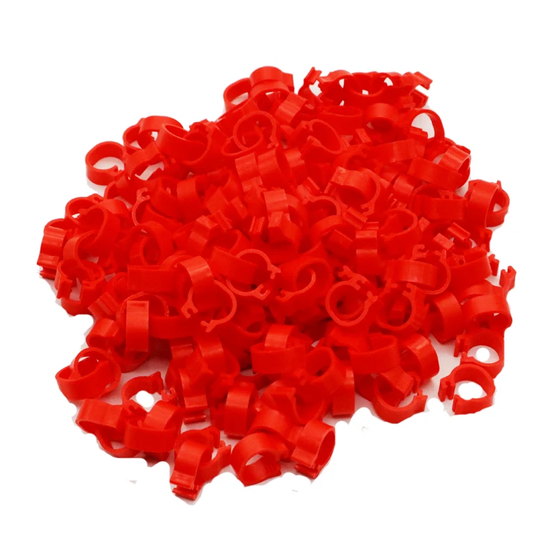Title 9, 200 pcs Inner Diameter 8mm Bird Foot Ring Dove ...