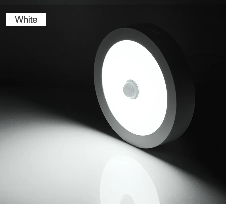 110V 220V Ceiling Lamp PIR Motion Sensor Ceiling Light led lamp lampara techo led light fixture room hallway stairs bathroom