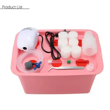

6 Holes 220V Plant Site Hydroponic Plant Site Hydroponic System Holes Plant Site Hydroponic Garden Pots Planters