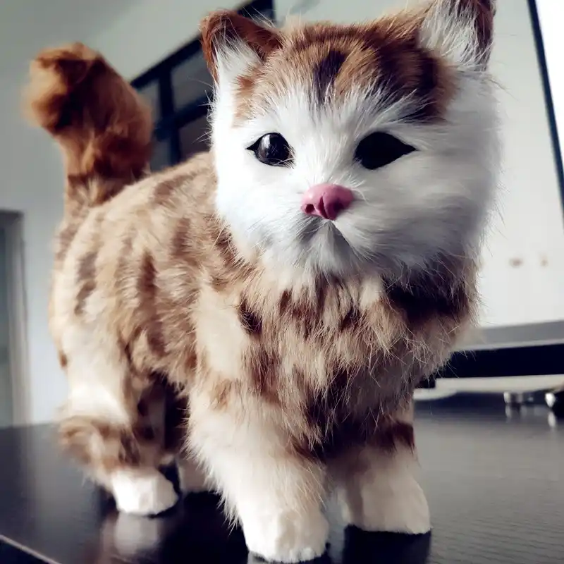 Oyuncak Kedi Hepsiburada