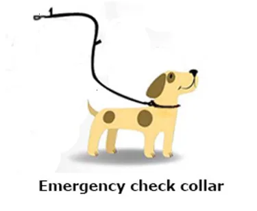 Truelove 7 In 1 Multi-Function Adjustable Dog Lead Hand Free Pet Training Leash Reflective Multi-Purpose Dog Leash Walk 2 Dogs (14)