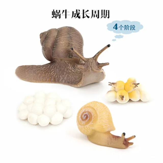 Hot DIY Growth Cycle Reptiles Snails PVC Actions Models Toy Figures Statics Model Educational toys  for Children Ornaments Gifts 3