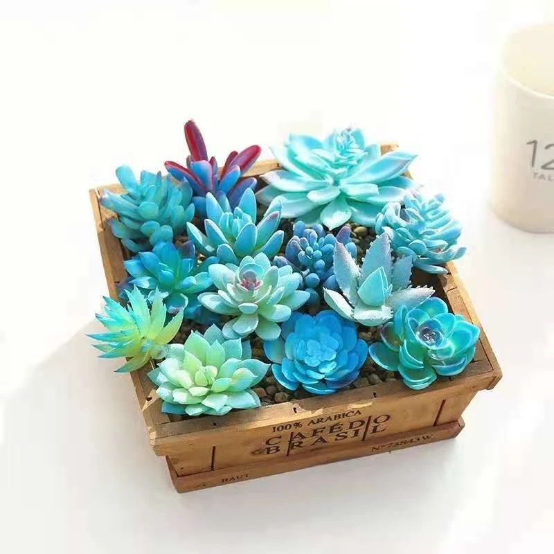 Cactos Suculentas Azuis, Flores Artificiais De Bonsai, Plantas De  Simulação, Flores De Plantas Suculentas, Decoração De Jardim Doméstico Diy, Flor  Falsa - Flores Secas E Artificiais - AliExpress