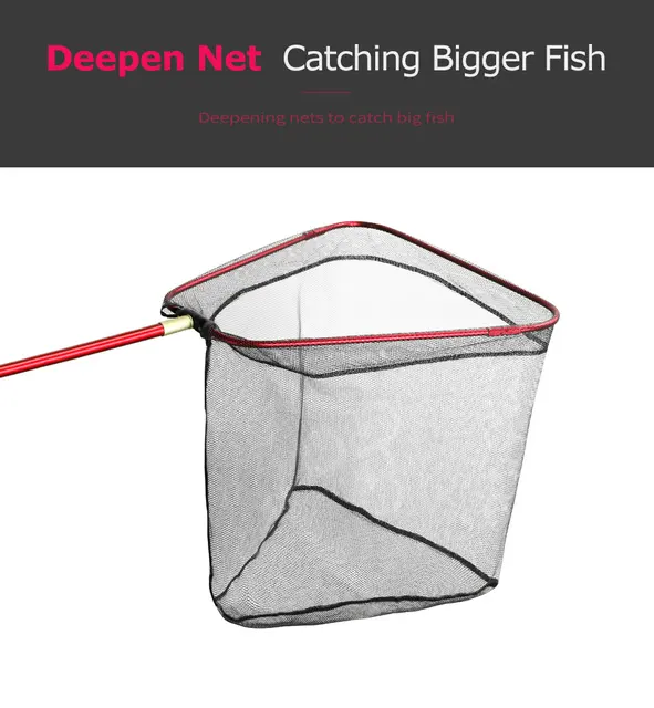 Large Landing Net Fishing, Large Landing Net Fish