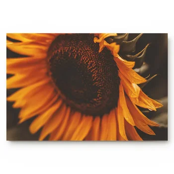

Sunflower Flower Kitchen Floor Bath Entrance Rug Mat Absorbent Indoor Bathroom Decor Doormats