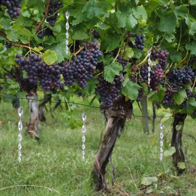 6/8Db Forgó Fényvisszaverő Rúd Madár -Visszatelepítő Környezetvédelmi Ijesztő Szerszám Kis Tartós Madarak Galambok Verébekhez - Image 3