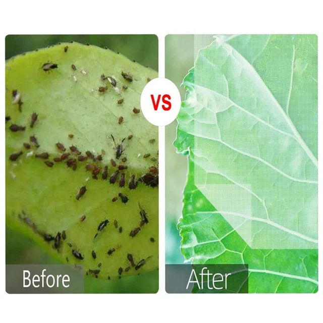 Kerti Hibák Gáthálónövekedésű Növény Burkolat Húzózsinórral Ellátott Madárgátháló Hálóháló Fa Burkolatok Növényi Gyümölcsök Virágzöld Zöldségfélék - Image 5