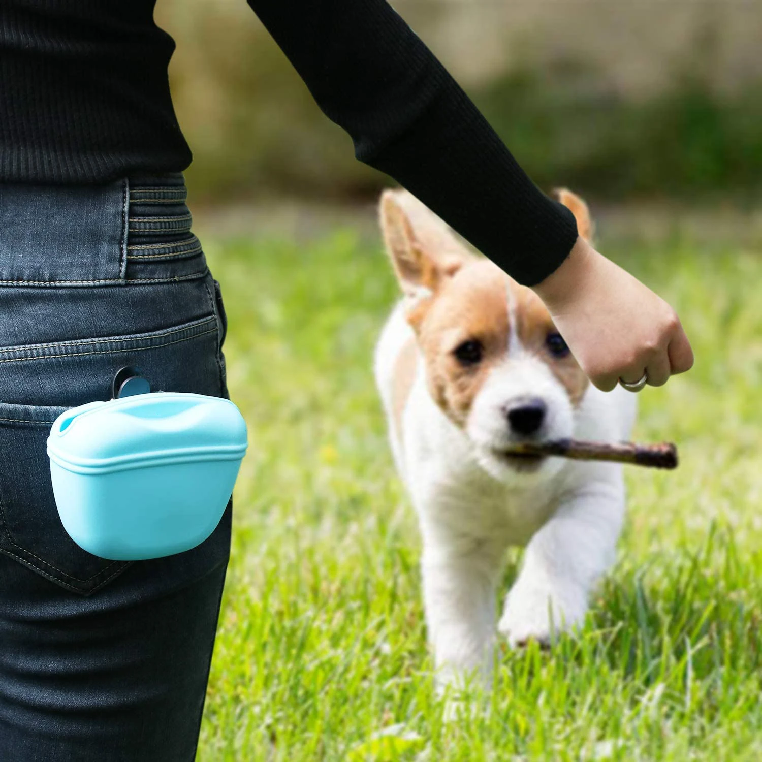 Portable Dog Treat Bag Silicone Snack Food Bait Reward Pocket Outdoor Feed Storage Containers Waist Pouch For Leash