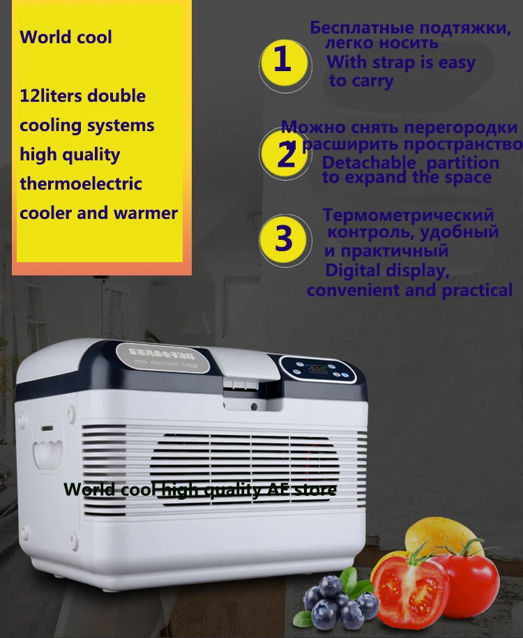 12L AC/DC12V camping outdoor camper vehicleRefrigerator fridge ice box cooler box freezer fridge thermoelectric cooler warmer