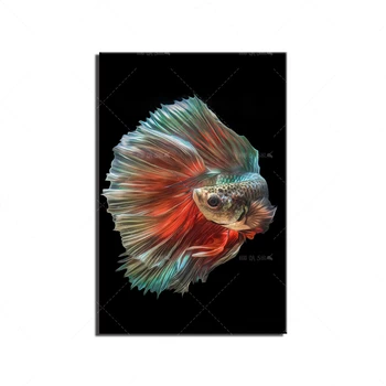 

Nordic Poster And Print Wall Art Canvas Watercolor Bettas Abstract Wall Art Oil Painting Canvas Modular Bedroom FamilyDecoration