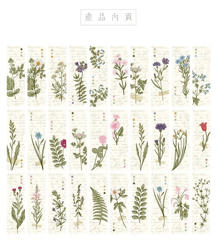 17138658684_1057887383