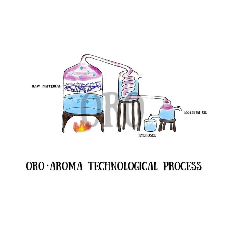 Известный бренд oroaroma натуральное ароматерапевтическое лавандовое эфирное масло для восстановления шрамов от акне помогает сну, уход за кожей, масло лаванды для похудения