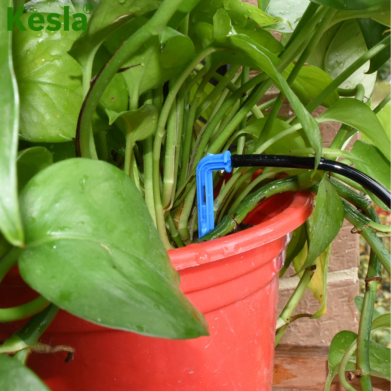 Garden Hose 3/5mm Watering Irrigation Pipe 1/8'' Tubing For Greenhouse Bonsai Potted Plants Drip Arrow Dripper Sprinkler