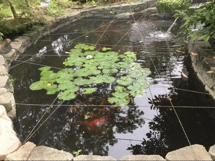 Kockney Koi Pond Cover Nets Protect Your Fish from Heron Foxes Cats Leaves 