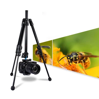 

Professional Photographic Portable Aluminium Alloy Tripod Kit Stand Ball Head for Travel DSLR Camera
