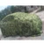 Камуфляжная Сетка 1,5 М*2 3 4 5 6 7 8 9 10 М Широкий Камуфляж Камуфляжная Сетка Навальный Рулон Украшения Солнцезащитный Козырек Партия Кемпинг Пустыня Джунгли