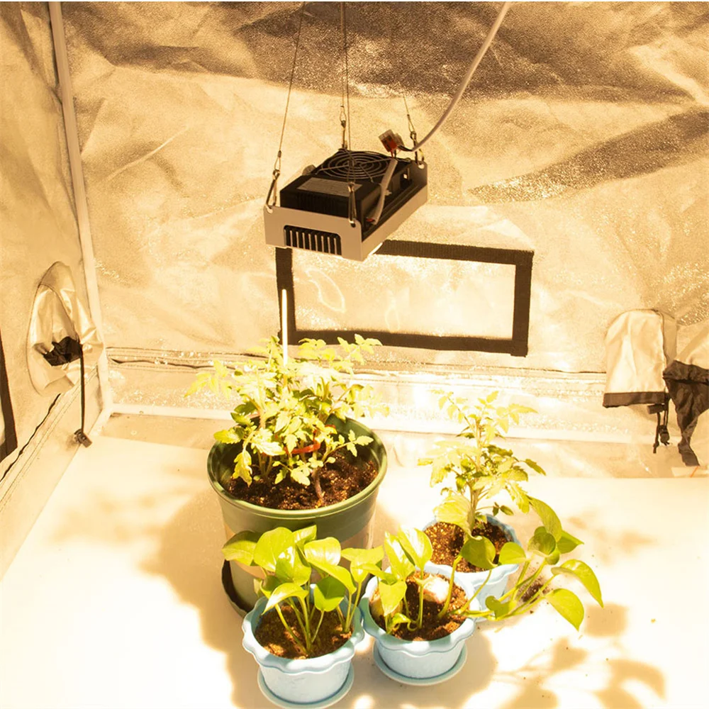 Citizen 1212 Cob Led Grow Light Spettro Completo 100W 85V-265V Led Lampada Da Coltivazione Per Piante Per Tende Da Interno Serre Pianta Idroponica