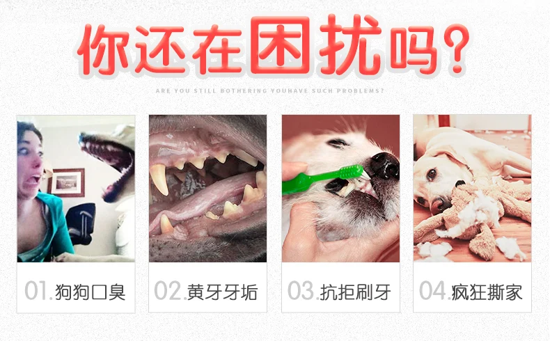 Dog Toy Pet Dog Satsuma Ball Pet Dog Bite Resistant Big Dog Rubber Yeah Puppy Large Dog Pet Dog Play