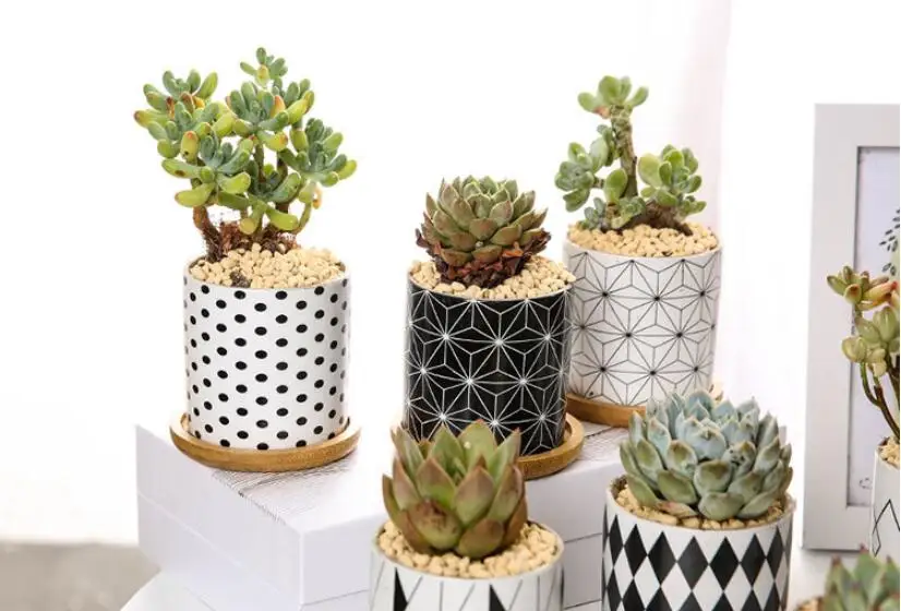 QQ截图20191202103204