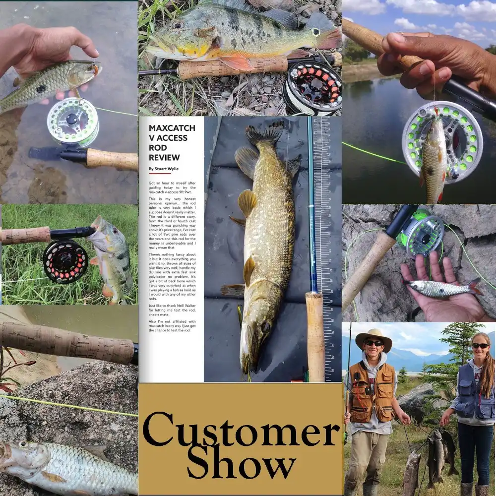 Dmm Classic Review Gearlab