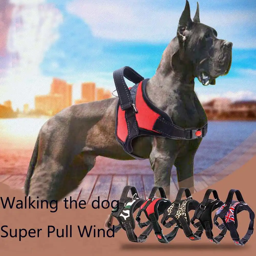 chest led dog harness