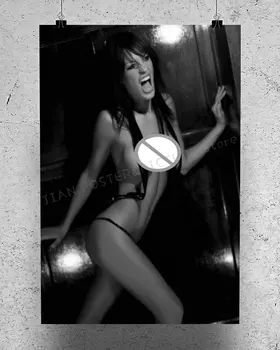 

R0317 Jolene Blalock Star Sexy Beautiful Girl Model Wall Sticker Silk Poster Art Home Decoration