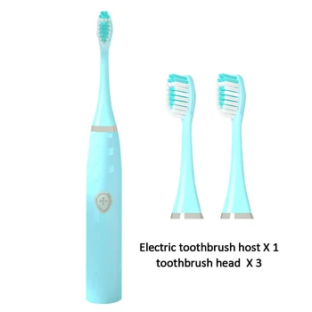 

Profession Tooth Cleaner Toothbrush Travel Whitening High Frequency Vibration IPX6 Waterproof Grade Charging Beauty Makeup