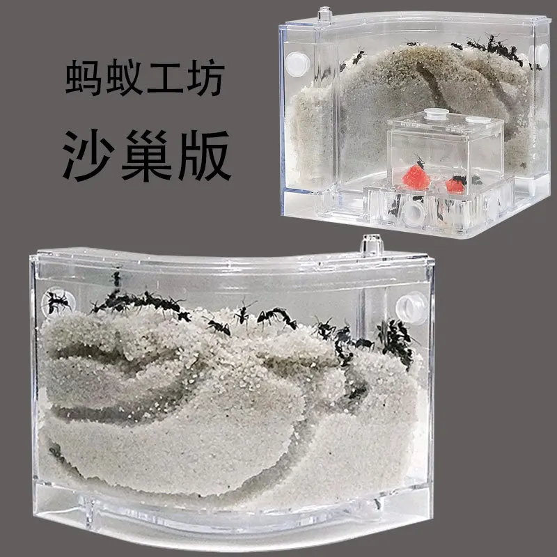 

Funny Biological Pet Ant Farm Sand Nest Sandcastle Natural Sand Nest Science Experiment Toy Explore Teaching Aids