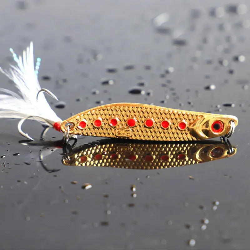 11406409418_1199291976