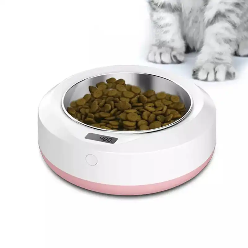 safe dog food bowls