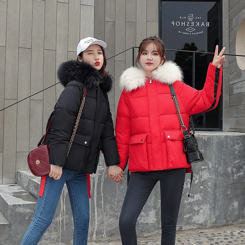 

2019 New Style South Korea Autumn And Winter Cotton-padded Clothes Women's Best Friend-Ultra Large Fur Collar Waist Hugging Hood