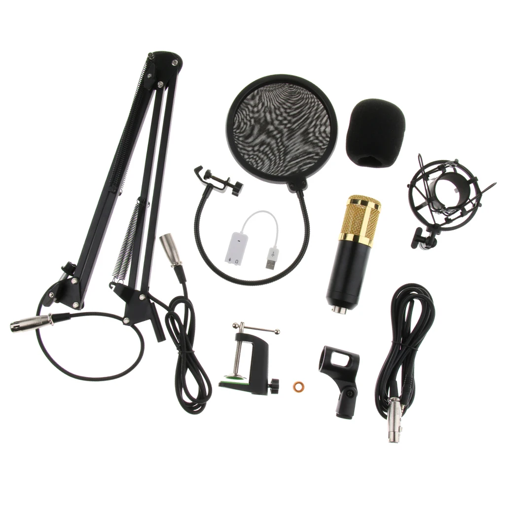 Конденсаторный Микрофон Звук студия W/Shock Mount XLR кабель Mic Shield Cover