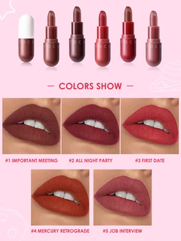 

1Pcs FOCALLURE Capsule Liquid Lipstick Set Capsule Shape Matte Waterproof Long-lasting Lipstick Set For Female Friends TSLM2