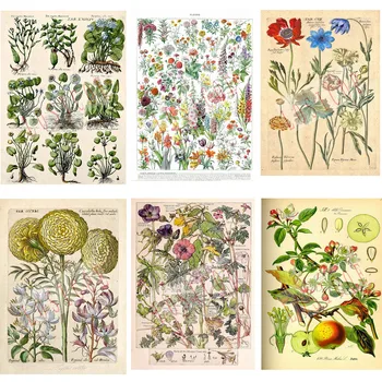 

Flowers vegetation plant science Shabby chic Vintage Inkjet printing kraft paper poster Wall Stickers wallpaper Garden Decor